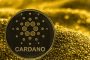 Криптовалюта Cardano просела на 10%